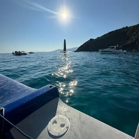 Maisonnette Avec Piscine Proche Saint-tropez & Port Grimaud * Гассен